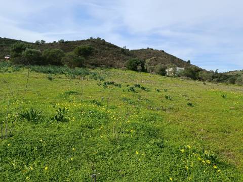 TERRENO RUSTICO COM 1.520 M2 - JUNTO AO RIO GUADIANA - ALCOUTIM - ALGARVE