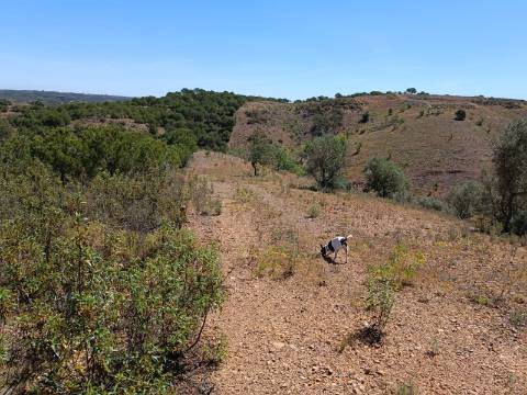 TERRENO COM 8.720 M2 - COM POÇO - PRÓXIMO A CORTE DO GAGO EM CASTRO MARIM - ALGARVE