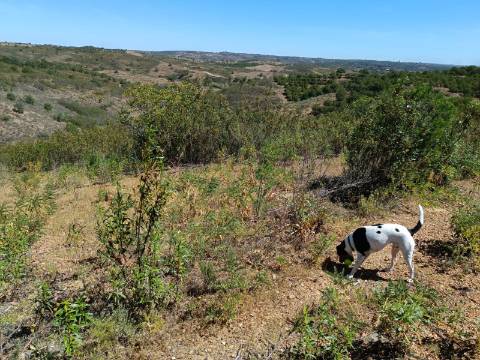TERRENO COM 8.720 M2 - COM POÇO - PRÓXIMO A CORTE DO GAGO EM CASTRO MARIM - ALGARVE