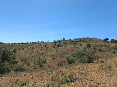 TERRENO COM 8.720 M2 - COM POÇO - PRÓXIMO A CORTE DO GAGO EM CASTRO MARIM - ALGARVE