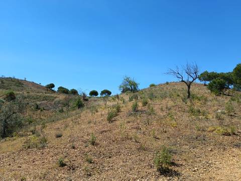 TERRENO COM 8.720 M2 - COM POÇO - PRÓXIMO A CORTE DO GAGO EM CASTRO MARIM - ALGARVE