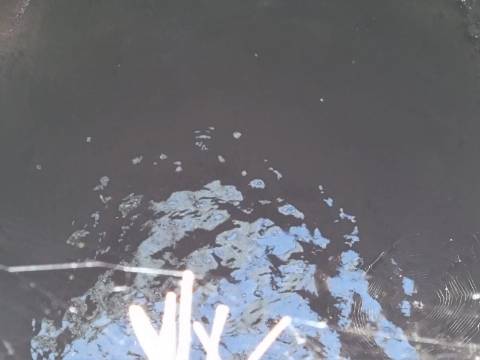 TERRENO COM 8.720 M2 - COM POÇO - PRÓXIMO A CORTE DO GAGO EM CASTRO MARIM - ALGARVE