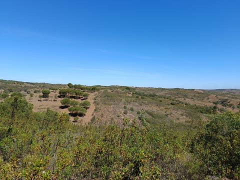 TERRENO COM 8.720 M2 - COM POÇO - PRÓXIMO A CORTE DO GAGO EM CASTRO MARIM - ALGARVE