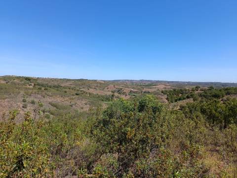 TERRENO COM 8.720 M2 - COM POÇO - PRÓXIMO A CORTE DO GAGO EM CASTRO MARIM - ALGARVE