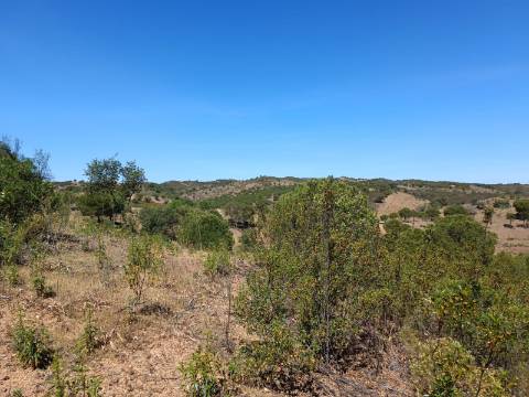 TERRENO COM 8.720 M2 - COM POÇO - PRÓXIMO A CORTE DO GAGO EM CASTRO MARIM - ALGARVE