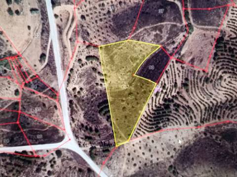 TERRENO COM 8.720 M2 - COM POÇO - PRÓXIMO A CORTE DO GAGO EM CASTRO MARIM - ALGARVE