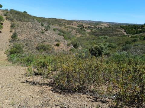 TERRENO COM 8.720 M2 - COM POÇO - PRÓXIMO A CORTE DO GAGO EM CASTRO MARIM - ALGARVE