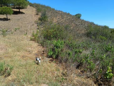 TERRENO COM 8.720 M2 - COM POÇO - PRÓXIMO A CORTE DO GAGO EM CASTRO MARIM - ALGARVE