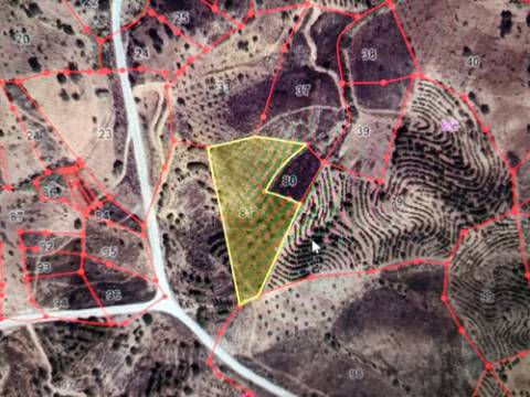 TERRENO COM 8.720 M2 - COM POÇO - PRÓXIMO A CORTE DO GAGO EM CASTRO MARIM - ALGARVE