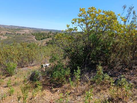 TERRENO COM 8.720 M2 - COM POÇO - PRÓXIMO A CORTE DO GAGO EM CASTRO MARIM - ALGARVE