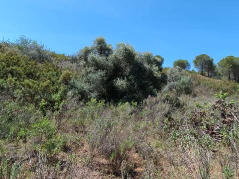 TERRENO COM 8.720 M2 - COM POÇO - PRÓXIMO A CORTE DO GAGO EM CASTRO MARIM - ALGARVE