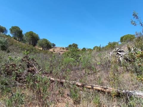 TERRENO COM 8.720 M2 - COM POÇO - PRÓXIMO A CORTE DO GAGO EM CASTRO MARIM - ALGARVE