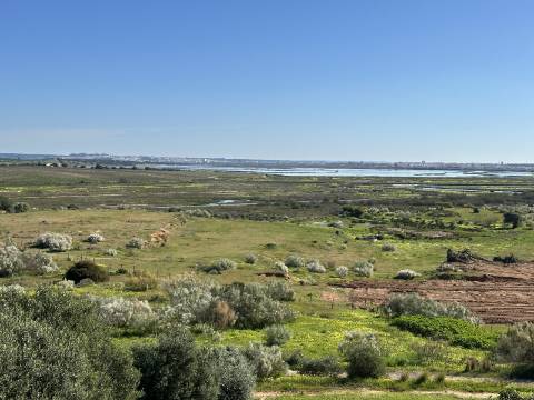 Moradia moderna de excelência T3 isolada com piscina e vistas deslumbrantes.