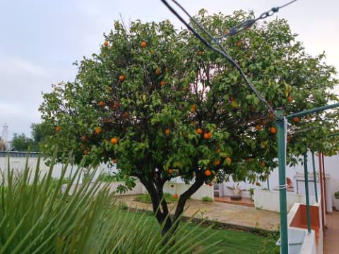 MORADIA T4 - COM TERRAÇO - COM JARDIM E POÇO - NO CENTRO DO AZINHAL EM CASTRO MARIM - ALGARVE