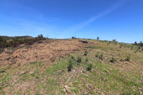 Terreno Misto com ruína zona da Conceição de Tavira,