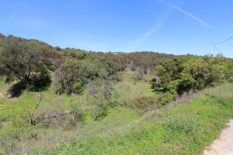 Terreno Misto com ruína zona da Conceição de Tavira,