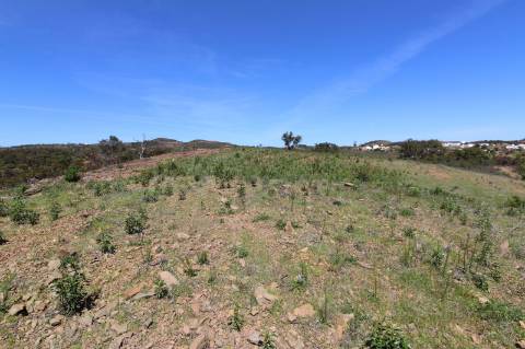 Terreno Misto com ruína zona da Conceição de Tavira,