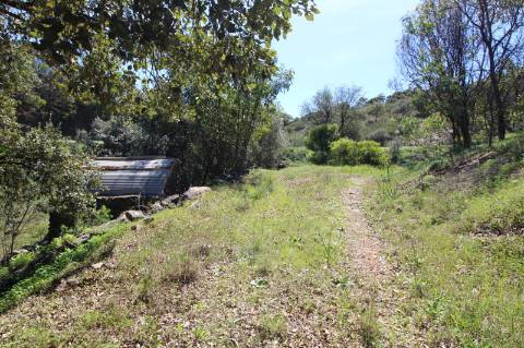 Terreno Misto com ruína zona da Conceição de Tavira,