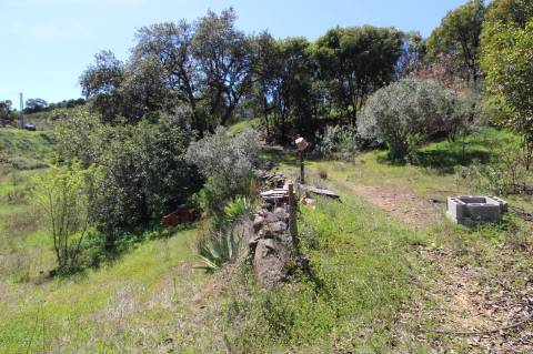 Terreno Misto com ruína zona da Conceição de Tavira,