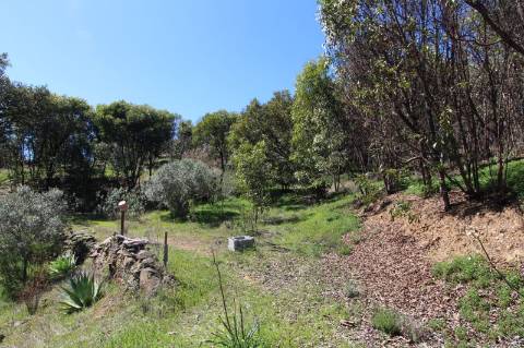 Terreno Misto com ruína zona da Conceição de Tavira,