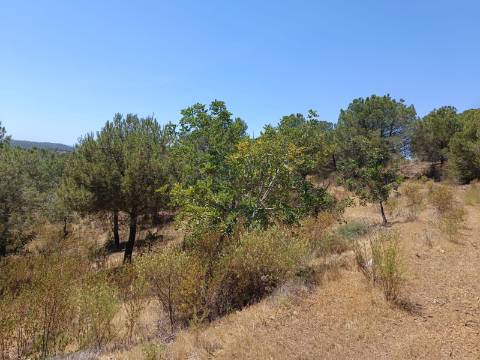 TERRENO RÚSTICO COM 5.160 M2 - PRÓXIMO A FOZ DE ODELEITE - ODELEITE - CASTRO MARIM - ALGARVE