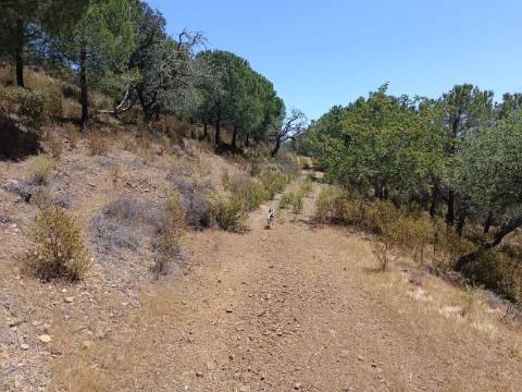 TERRENO RÚSTICO COM 5.160 M2 - PRÓXIMO A FOZ DE ODELEITE - ODELEITE - CASTRO MARIM - ALGARVE