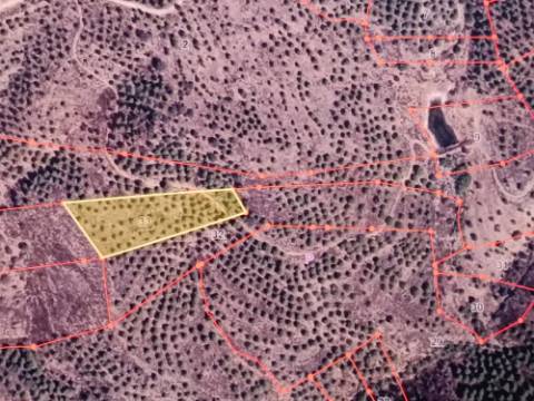 TERRENO RÚSTICO COM 5.160 M2 - PRÓXIMO A FOZ DE ODELEITE - ODELEITE - CASTRO MARIM - ALGARVE