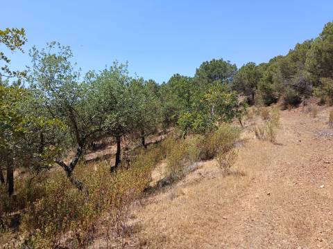 TERRENO RÚSTICO COM 5.160 M2 - PRÓXIMO A FOZ DE ODELEITE - ODELEITE - CASTRO MARIM - ALGARVE
