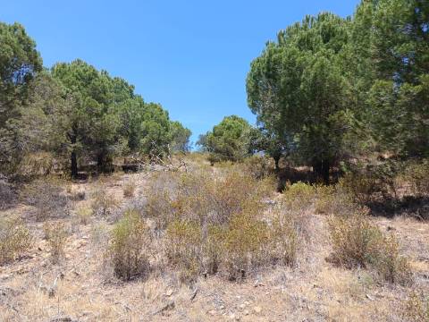 TERRENO RÚSTICO COM 5.160 M2 - PRÓXIMO A FOZ DE ODELEITE - ODELEITE - CASTRO MARIM - ALGARVE