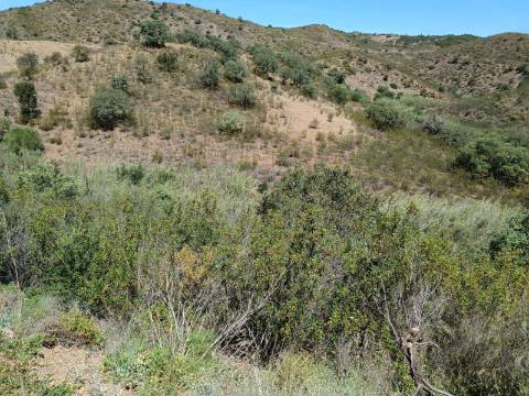 TERRENO COM 12.800 M2 - PRÓXIMO A CORTE DO GAGO EM CASTRO MARIM - ALGARVE