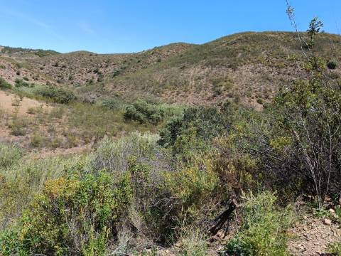 TERRENO COM 12.800 M2 - PRÓXIMO A CORTE DO GAGO EM CASTRO MARIM - ALGARVE