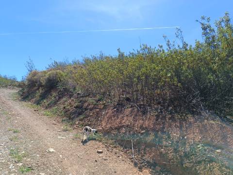 TERRENO COM 12.800 M2 - PRÓXIMO A CORTE DO GAGO EM CASTRO MARIM - ALGARVE