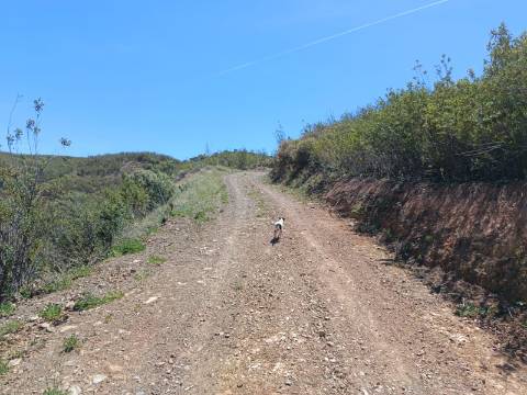 TERRENO COM 12.800 M2 - PRÓXIMO A CORTE DO GAGO EM CASTRO MARIM - ALGARVE