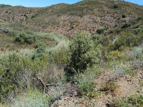 TERRENO COM 12.800 M2 - PRÓXIMO A CORTE DO GAGO EM CASTRO MARIM - ALGARVE