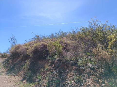 TERRENO COM 12.800 M2 - PRÓXIMO A CORTE DO GAGO EM CASTRO MARIM - ALGARVE