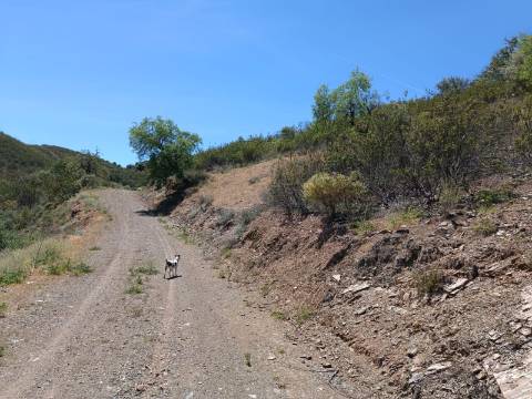 TERRENO COM 12.800 M2 - PRÓXIMO A CORTE DO GAGO EM CASTRO MARIM - ALGARVE
