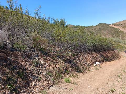 TERRENO COM 12.800 M2 - PRÓXIMO A CORTE DO GAGO EM CASTRO MARIM - ALGARVE