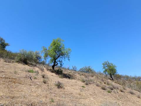 TERRENO COM 12.800 M2 - PRÓXIMO A CORTE DO GAGO EM CASTRO MARIM - ALGARVE