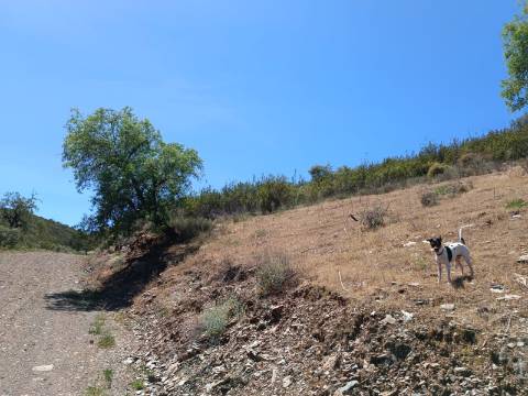 TERRENO COM 12.800 M2 - PRÓXIMO A CORTE DO GAGO EM CASTRO MARIM - ALGARVE
