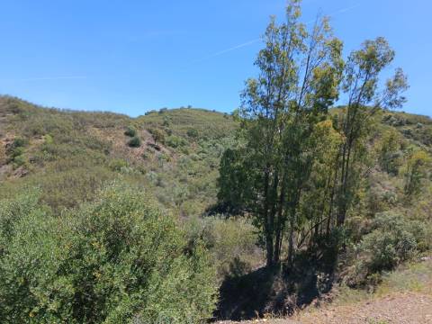 TERRENO COM 12.800 M2 - PRÓXIMO A CORTE DO GAGO EM CASTRO MARIM - ALGARVE