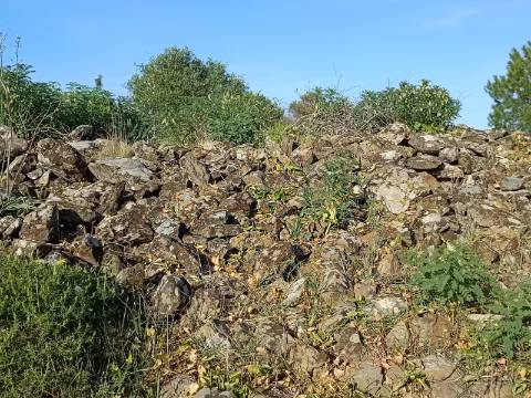 TERRENO COM 42.480 M2 - POSSIBILIDADE DE CONSTRUIR ARMAZEM - BELICHE - CASTRO MARIM - ALGARVE