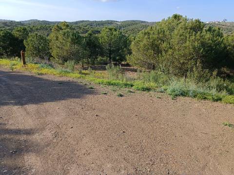 TERRENO COM 42.480 M2 - POSSIBILIDADE DE CONSTRUIR ARMAZEM - BELICHE - CASTRO MARIM - ALGARVE