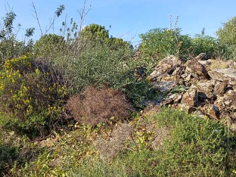 TERRENO COM 42.480 M2 - POSSIBILIDADE DE CONSTRUIR ARMAZEM - BELICHE - CASTRO MARIM - ALGARVE