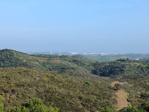 TERRENO COM 42.480 M2 - POSSIBILIDADE DE CONSTRUIR ARMAZEM - BELICHE - CASTRO MARIM - ALGARVE
