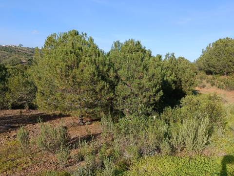 TERRENO COM 42.480 M2 - POSSIBILIDADE DE CONSTRUIR ARMAZEM - BELICHE - CASTRO MARIM - ALGARVE