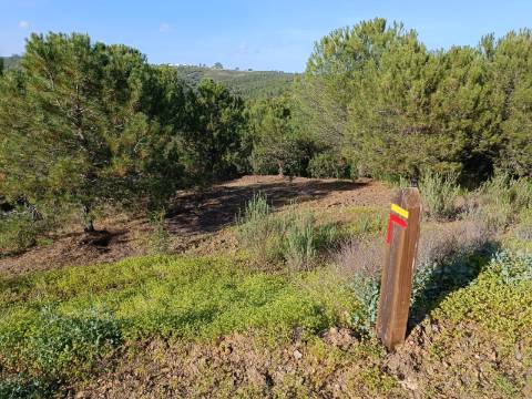 TERRENO COM 42.480 M2 - POSSIBILIDADE DE CONSTRUIR ARMAZEM - BELICHE - CASTRO MARIM - ALGARVE