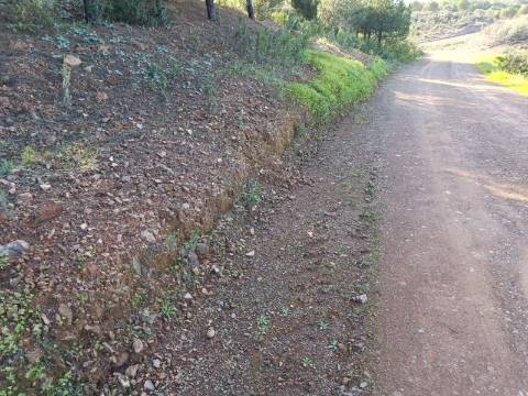 TERRENO COM 42.480 M2 - POSSIBILIDADE DE CONSTRUIR ARMAZEM - BELICHE - CASTRO MARIM - ALGARVE