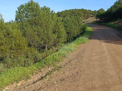 TERRENO COM 42.480 M2 - POSSIBILIDADE DE CONSTRUIR ARMAZEM - BELICHE - CASTRO MARIM - ALGARVE