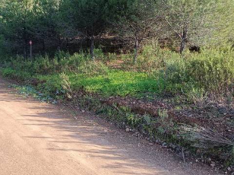 TERRENO COM 42.480 M2 - POSSIBILIDADE DE CONSTRUIR ARMAZEM - BELICHE - CASTRO MARIM - ALGARVE