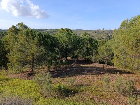 TERRENO COM 42.480 M2 - POSSIBILIDADE DE CONSTRUIR ARMAZEM - BELICHE - CASTRO MARIM - ALGARVE